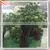 2015 Wholesale Artificial Shrubs Bonsai Tree Sale Price Artificial Pine Tree Branches thumbnail-1