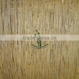 Reed Fencing Screening thumbnail-1