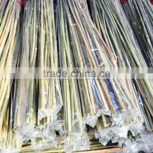 Excellent Quality Factory Price Garden Bamboo Canes for Sale thumbnail-6