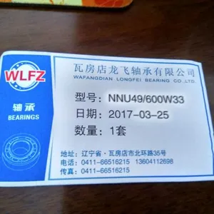 Wafangdian Longfei Bearing Co.,Ltd company overview - view 1 thumbnail