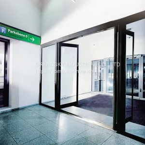 The Hot Sale Swing Automatic Door DSW-93 thumbnail-1