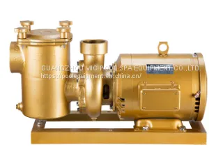 High Speed Swimming Pool Brass Water Pump,swimming Pool Equipment thumbnail-3