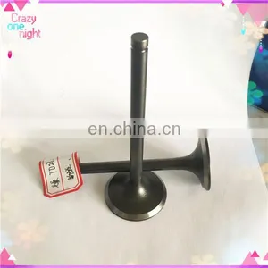 Motorbikes Spare Parts Engine Valves for Tvs Apache 180 Mileage Brs Rtr 200 thumbnail-5