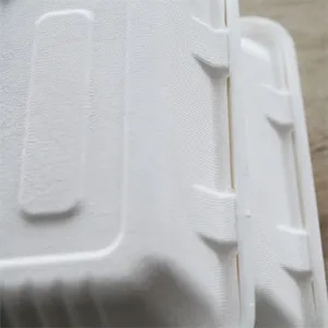Eco Friendly Fully Degradable Disposable Food Containers thumbnail-2