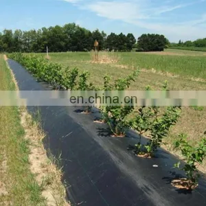 Anti Weed Mat 100% PP Woven Geotextile Weed Control Artificial Ground Cover For Blueberry thumbnail-1