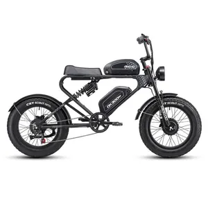 Factory Direct Supply 20 Inch Fat Tire Adult Electric Folding Bike Electric Bicycles thumbnail-1