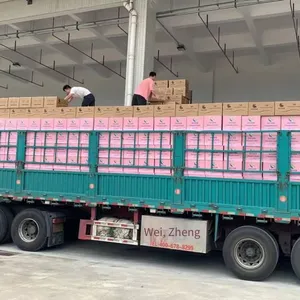 What Channels Are Available for the European Double - Clearance Dedicated Line? How is the Door - to - Door Transportation Time? thumbnail-1