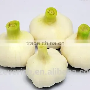 2016 NEW CROP CHINESE FRESH GARLIC ----PLACE OF ORIGIN,WE ARE FARMER thumbnail-3