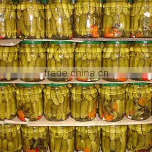 Pickled Cucumber thumbnail-1