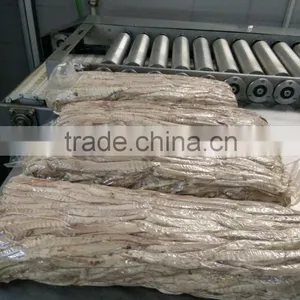 Striped Loins thumbnail-1