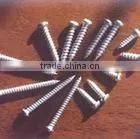 Self Tapping Screw thumbnail-1