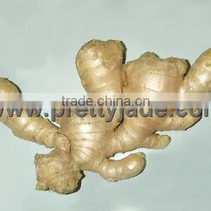 150g & up Fresh Ginger thumbnail-1
