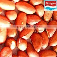 Chinese Red Skin Peanut Kernels 50/60 thumbnail-1