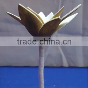 Flower for Decoration thumbnail-2