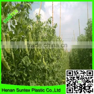 Strong Durable Trellis Netting Pea & Bean Support Net Tent Grow Net thumbnail-5