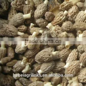IQF Frozen Style Chinese Morel Mushroom thumbnail-4