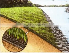 100% pp Plastic Grass Growing Net/Turf Growing Net thumbnail-1