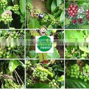 Organic Fertilizer-Neem Cake thumbnail-2