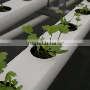 Hydroponics and Fertigation Controllers for Hydroponic Greenhouses thumbnail-5