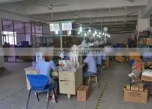 Yongkang Song Lighting & Electrical Co., Ltd. company overview - view 3 thumbnail