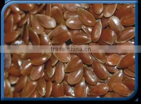 Flax Seed thumbnail-1