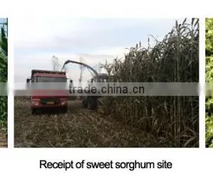 JAPAN TECH Corn Forage Harvester Silage Harvester for Corn Harvesting Machine thumbnail-3