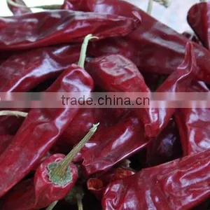 Red Chili thumbnail-5