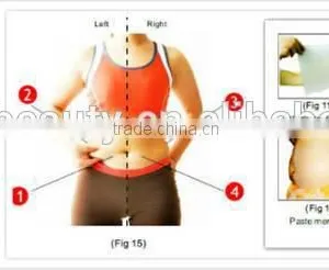 Weight Loss 2015 Hot Sales!! The Cryolipolysis Body Slimming Vacuum Fat Freeze Machine With Good Effects And Professional Engineers 220 / 110V thumbnail-6