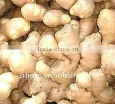 Air Dried Ginger (250g) thumbnail-1