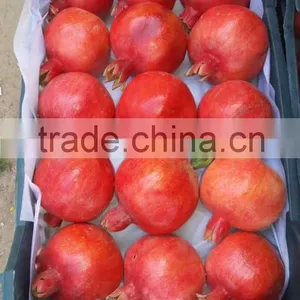 Pomegranate Type and Fresh Style thumbnail-2