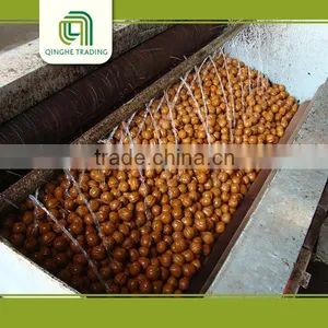 Natural High Quality Walnut Kernels Walnut Without Shell 18mm-24mm thumbnail-4