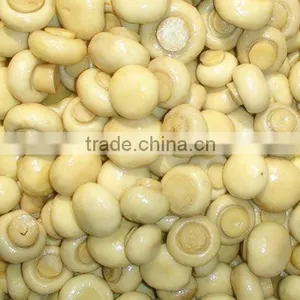 Mushroom in Brine(45kg/dram) thumbnail-2