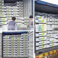 Xian Citymax Agrochemical Co., Ltd. company overview - view 2 thumbnail