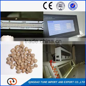 Small Rice CCD Color Sorter Machine in China thumbnail-3