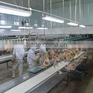 Poultry Farm/slaughter Control Panel for Slaughter Line/ Poultry Slaughter Equipment thumbnail-1
