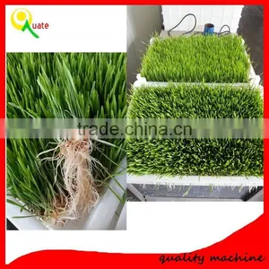 Best Selling Factory Directly Bud Seeding Wheat Growing Machine For Wheat Bud Growing thumbnail-6