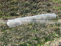 Steel Wire Frame With Plastic Cover Tunnel ,tunnel Greenhouse HX57026 thumbnail-1