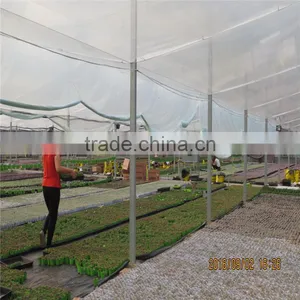 Agricultural Greenhouses Type Commercial Hydroponics Greenhouse thumbnail-3