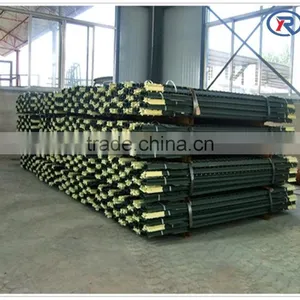 China Cheap Price Metal Fence T Post for American Market thumbnail-1