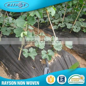 Technology 2016 Agriculture Nonwoven Polypropylene Fabric Roll thumbnail-2