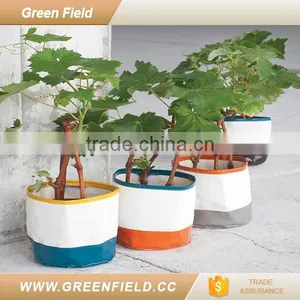 Custom Printing Flower Pot Canvas Fabric Grow Pot thumbnail-4