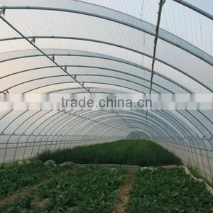 200mic Single Tunnel Greenhouse Covered Film for Vegetable thumbnail-1