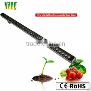 IP65 30pcs 1W Led Grow Light Bar for Strawberry Seeds thumbnail-1