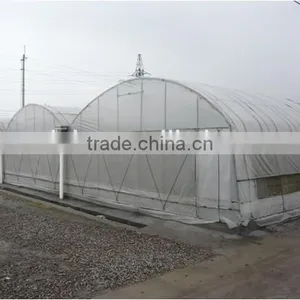 Outside Shading Sun Flower Cultivation in Greenhouse thumbnail-1