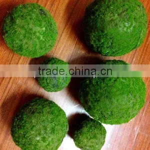 Artificial Flowers Cheap,artificial Moss Balls,snow Christmas Tree thumbnail-1