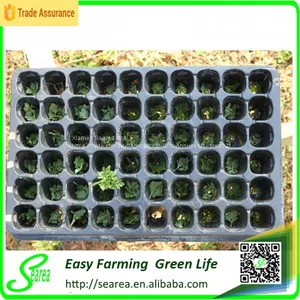 Plug Trays (Growing and Seedling) thumbnail-4