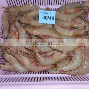 HOSO Sea White Shrimps thumbnail-1