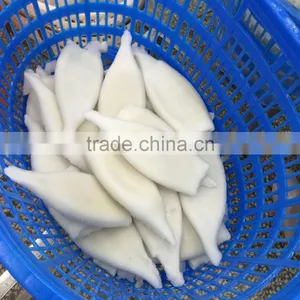 Wholesale Frozen Seafood Squid Tube thumbnail-2