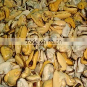 Frozen Mussel Without Shell thumbnail-1