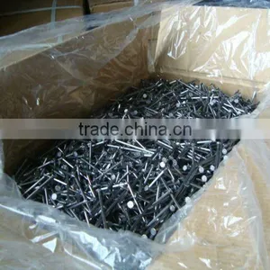 Common Round Nail /common Wire Nail thumbnail-1